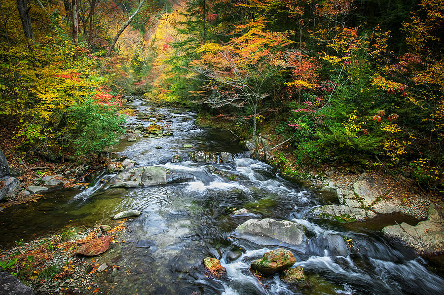 Stream Great Smoky Mountains Painted #4 Photograph by Rich Franco
