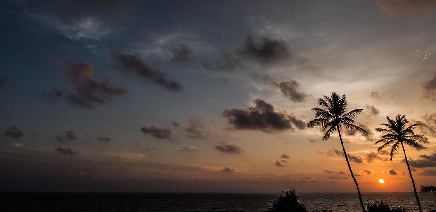 Sunset Photograph - Sunset and Palm Tree #5 by Guillaume Gauthereau