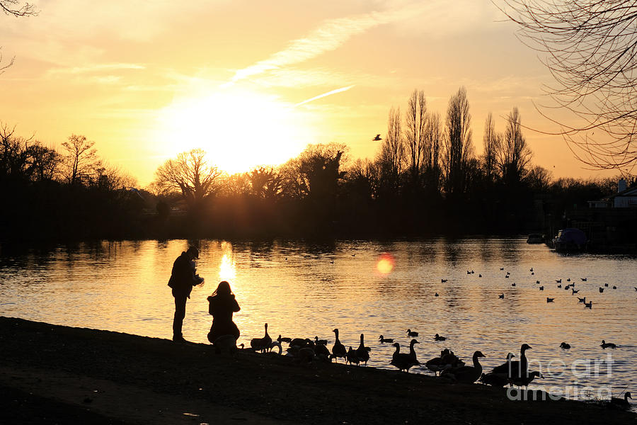 Sunset on the Thames at Walton #6 Photograph by Julia Gavin