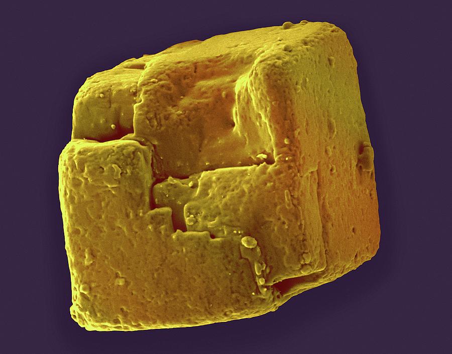 Crystal Photograph - Table Salt Crystal (nacl) #5 by Dennis Kunkel Microscopy/science Photo Library