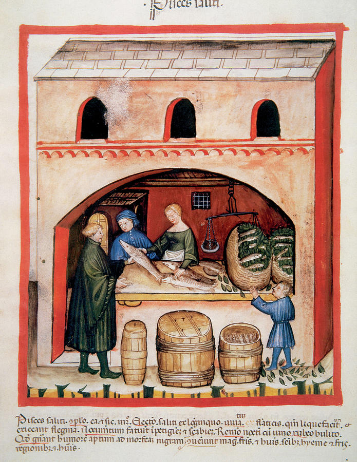 Tacuinum Sanitatis, Medieval Health Photograph by Prisma Archivo - Fine ...