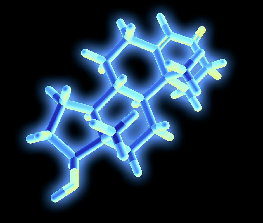 Testosterone Hormone Photograph by Alfred Pasieka/science Photo Library ...