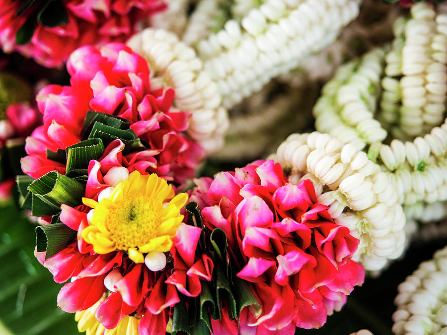 Thailand, Bangkok Street Flower Market Photograph by Terry Eggers - Pixels