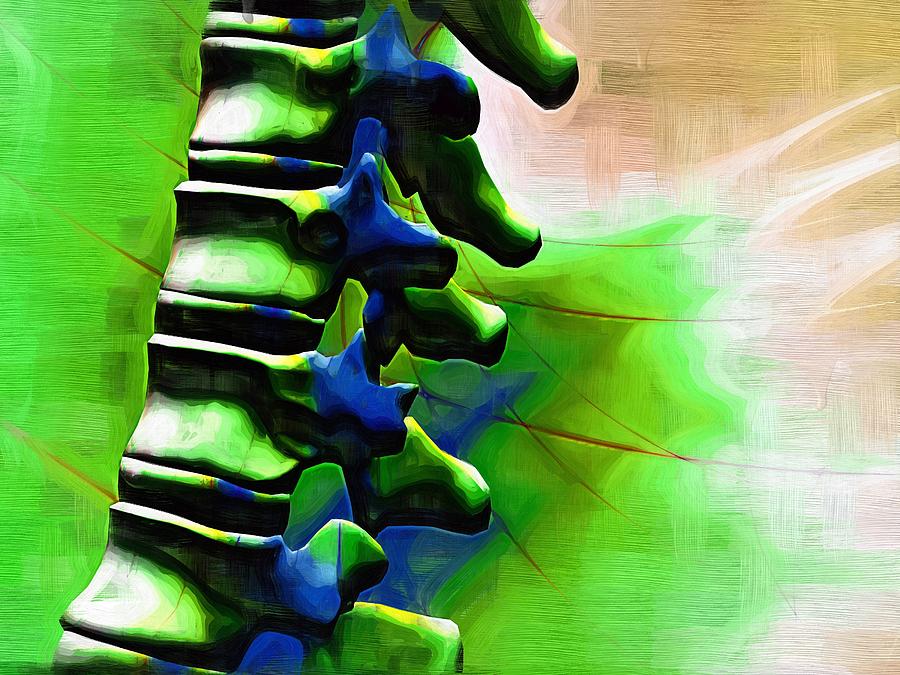 Skeleton Digital Art - Thoracic Spine #5 by Joseph Ventura