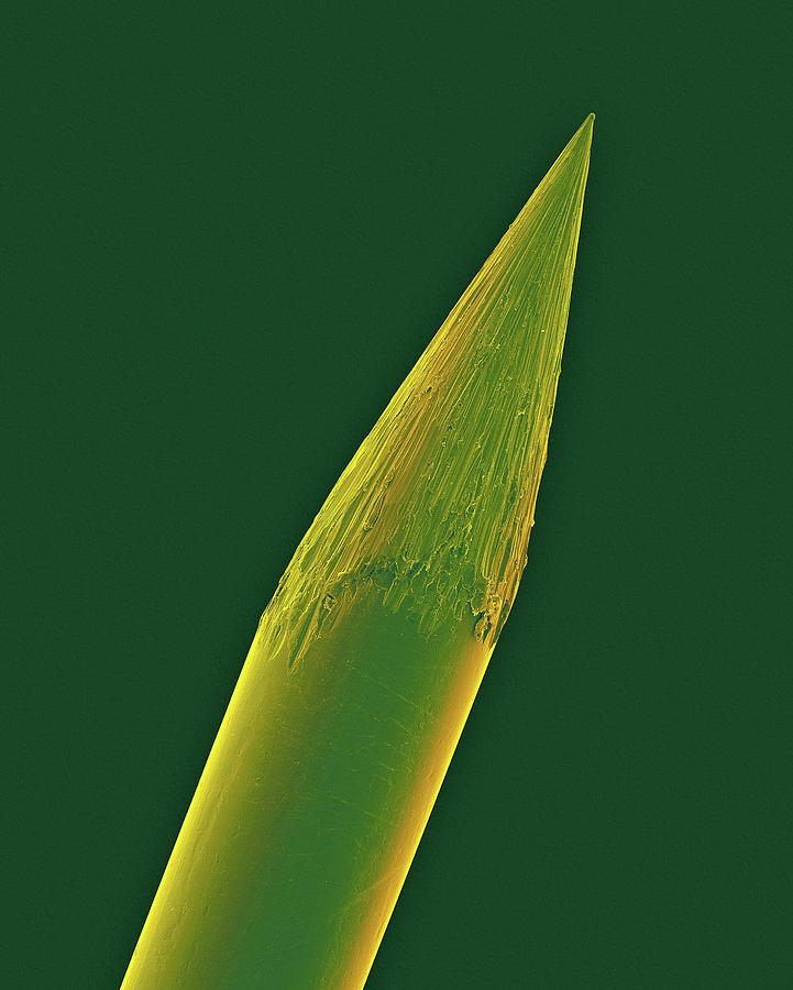 Tip Of A Tattoo Needle #5 Photograph by Dennis Kunkel Microscopy/science Photo Library