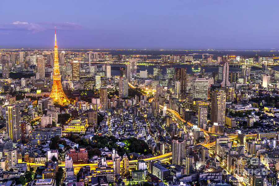 Tokyo - Japan #5 Photograph by Luciano Mortula