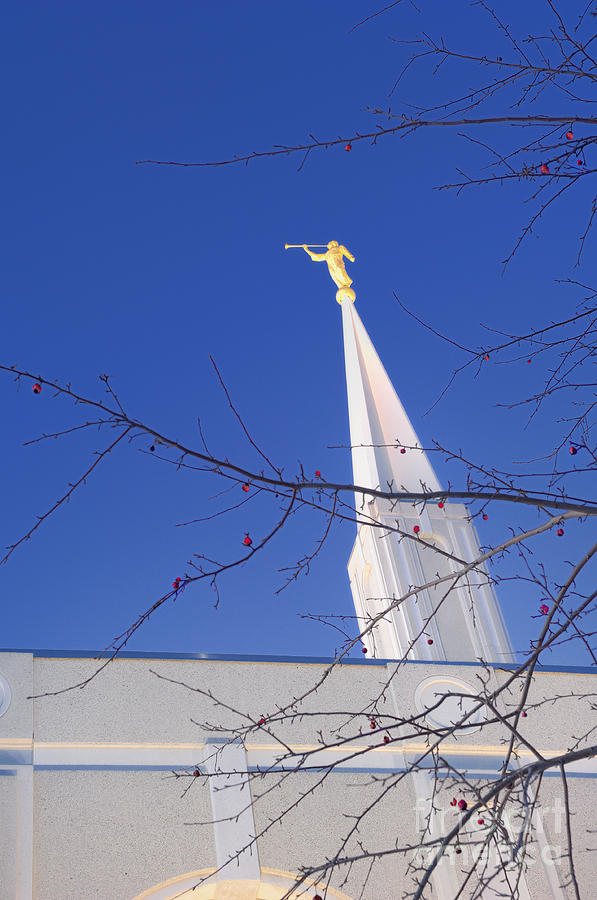 Toronto LDS Mormon Temple #5 Photograph by Laurent Lucuix