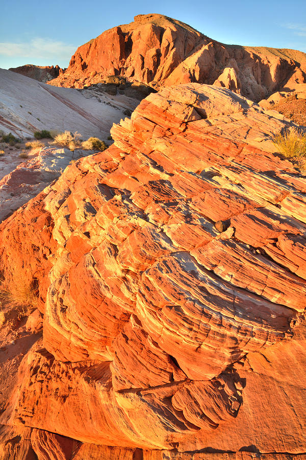 Trail to the Fire Wave - Valley of Fire #6 Photograph by Ray Mathis