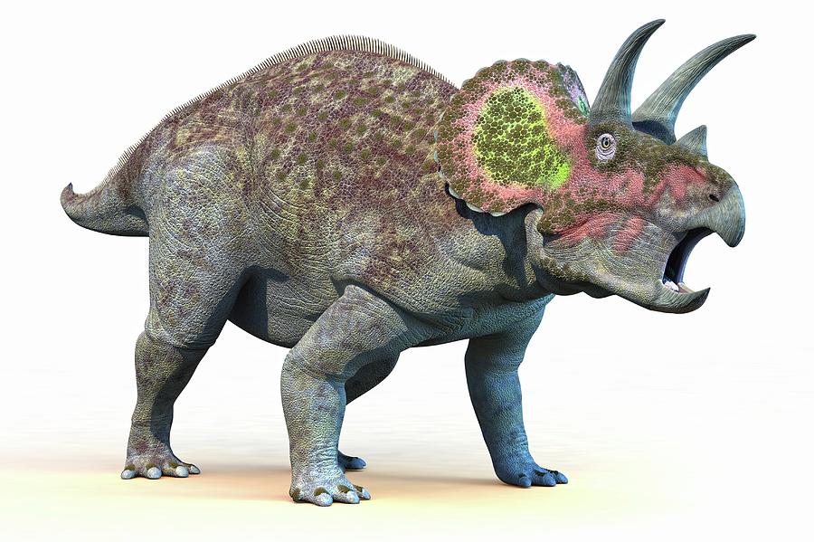 Prehistoric Photograph - Triceratops Dinosaur #5 by Roger Harris