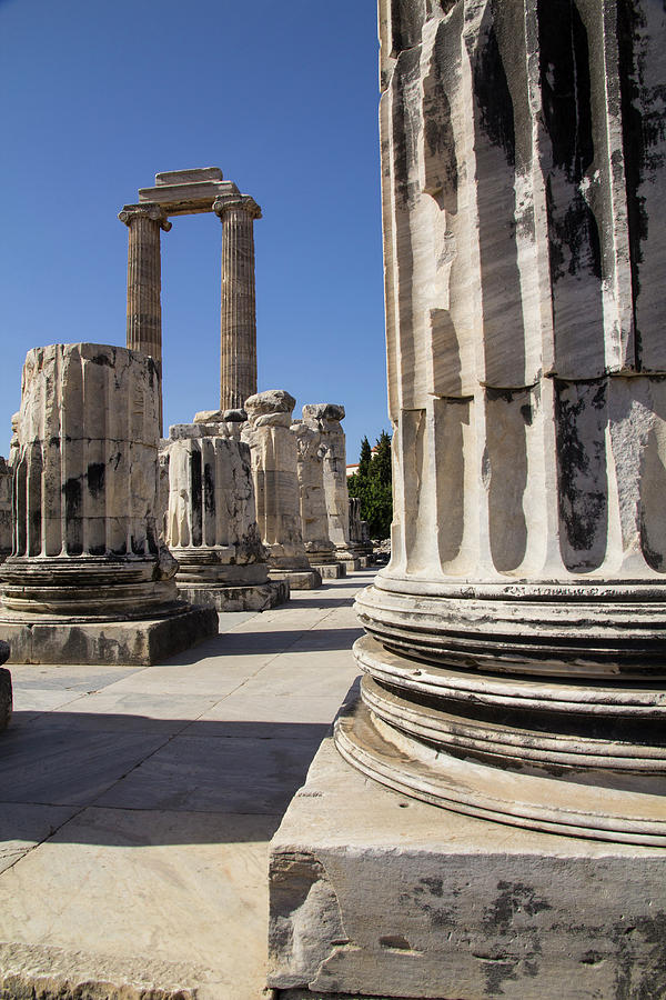 Turkey, Archaeological Site Of Didyma Photograph by Emily Wilson - Fine ...