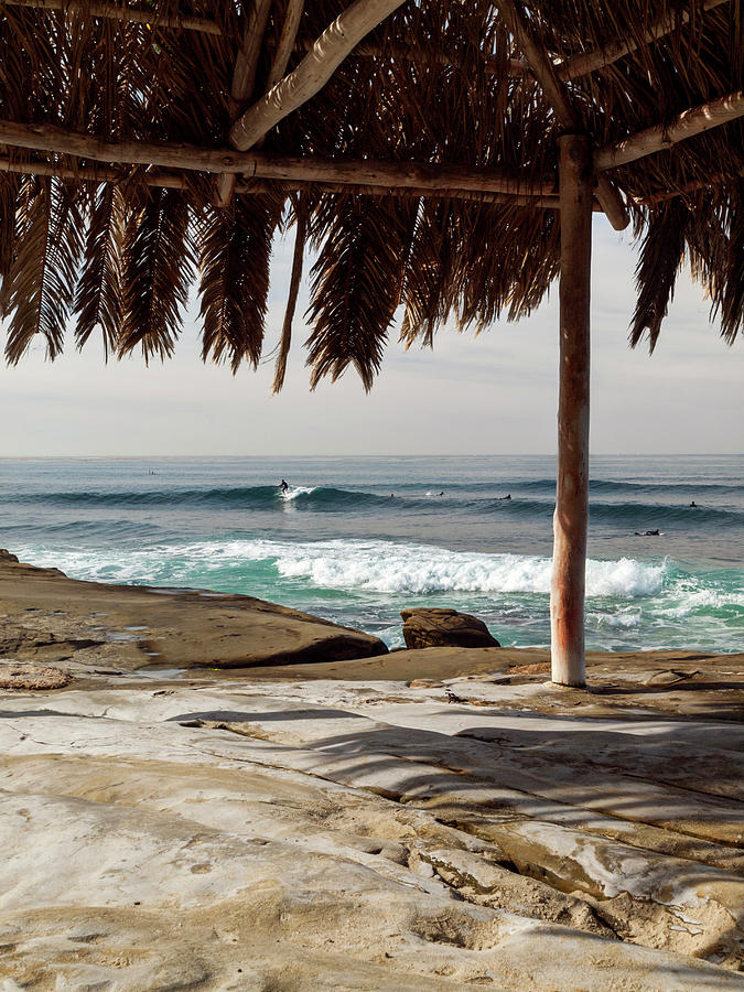 USA, California, La Jolla #5 Photograph by Ann Collins