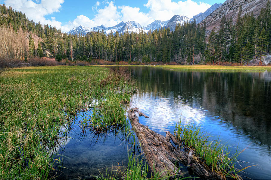 Landscape Photograph - USA, California, Sierra Nevada Range #5 by Jaynes Gallery