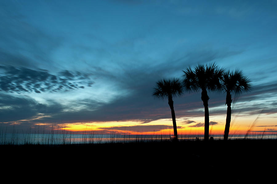 Sunset Photograph - USA, Florida, Sarasota, Sunset #5 by Bernard Friel