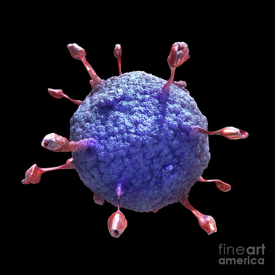 Virus Artwork Photograph By Alfred Pasieka Fine Art America 3771