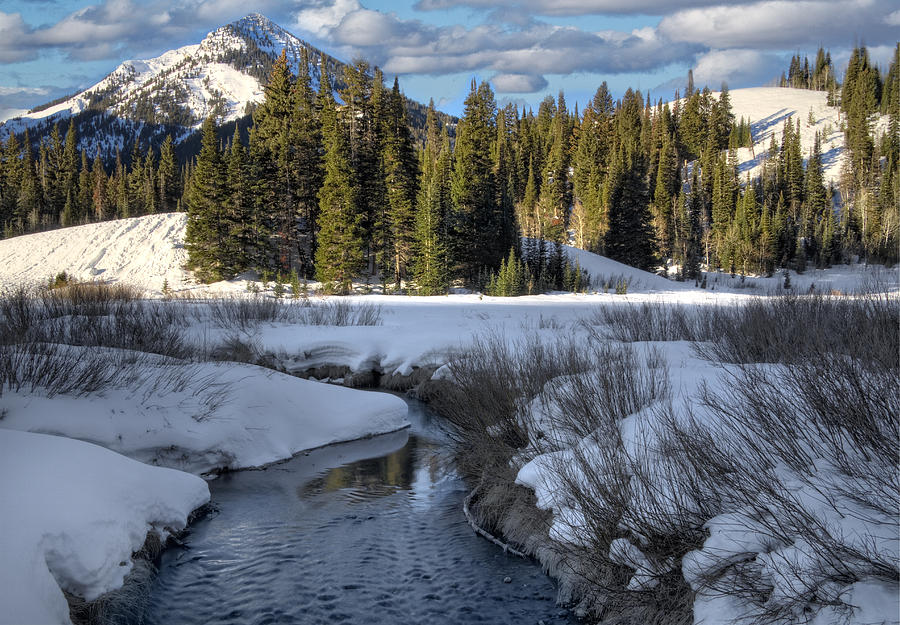 Wasatch Mountains in Winter #5 Photograph by Douglas Pulsipher