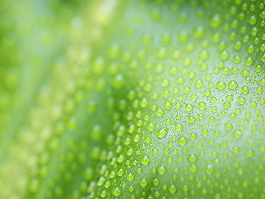 Water Droplets #5 Photograph by Jeremy Hudson