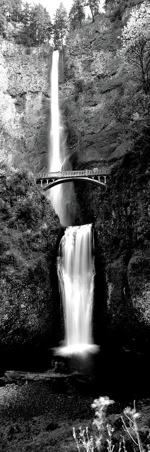 Black And White Photograph - Waterfall In A Forest, Multnomah Falls #5 by Panoramic Images