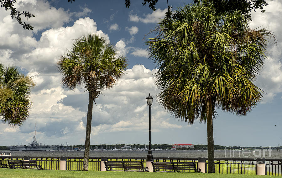 Waterfront Park in Charleston #5 Photograph by David Oppenheimer