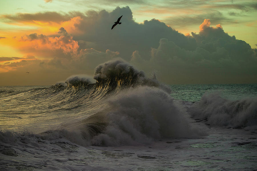 Waves In The Pacific Ocean At Dusk, San #5 Photograph by Panoramic Images