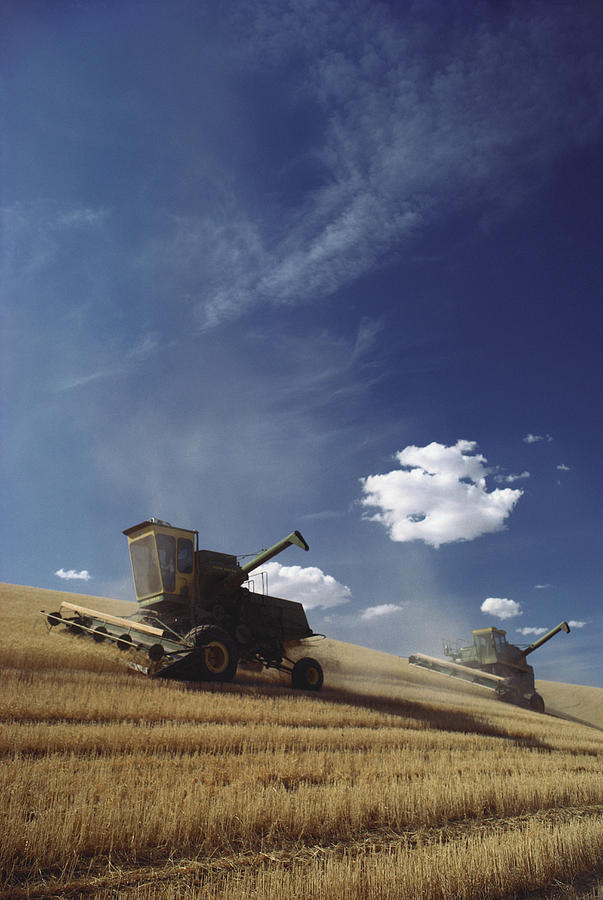 Wheat Harvest #5 Photograph by Earl Roberge