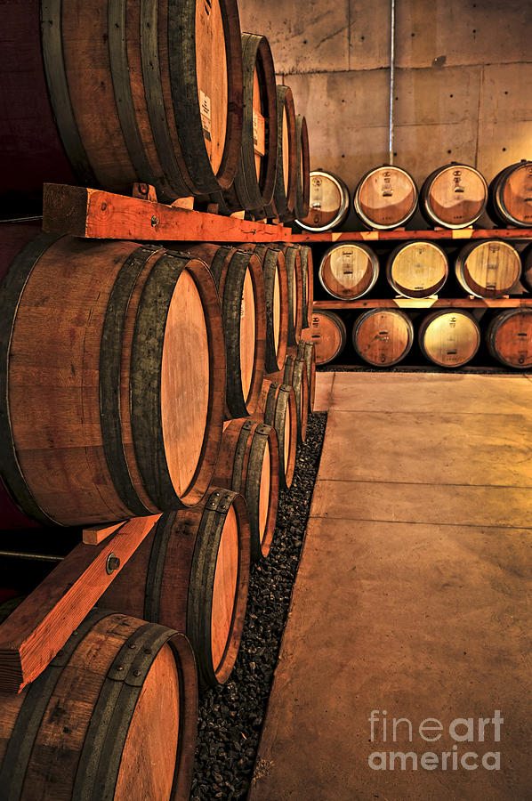 Wine Photograph - Wine barrels 4 by Elena Elisseeva