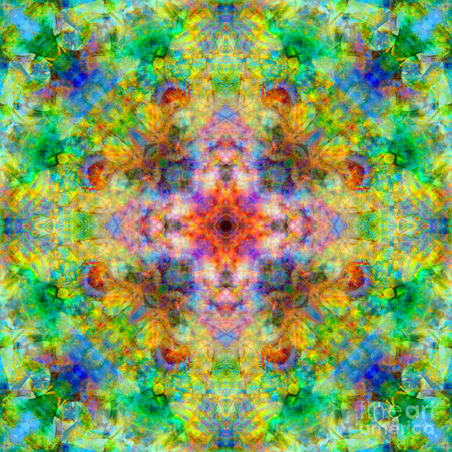 Wonderland Mandala Photograph by Susan Bloom - Fine Art America