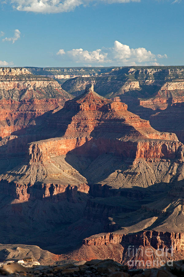 Yavapai Point Grand Canyon National Park #5 Photograph by Fred Stearns