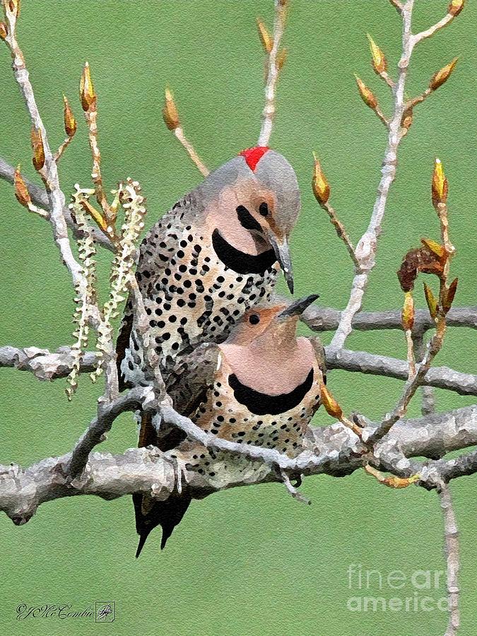 Nature Painting - Yellow-Shafted Northern Flickers #5 by J McCombie