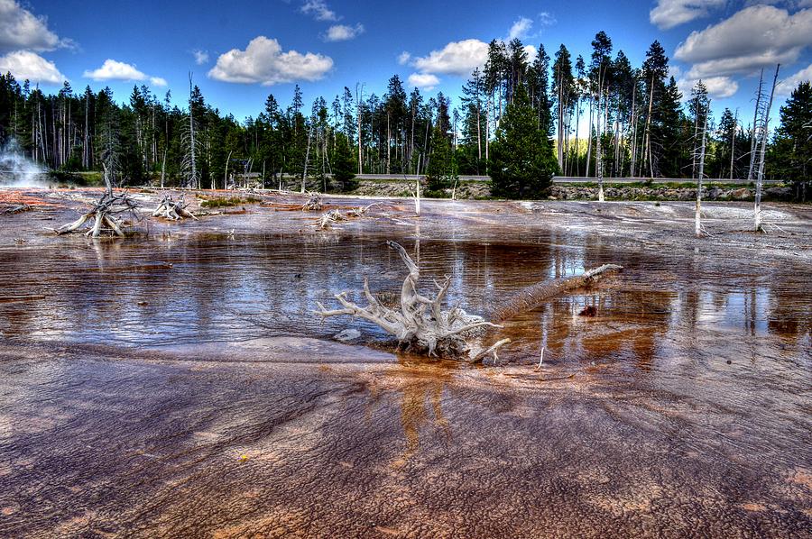 Yellowstone national park in Wyoming USA #5 Photograph by Paul James Bannerman