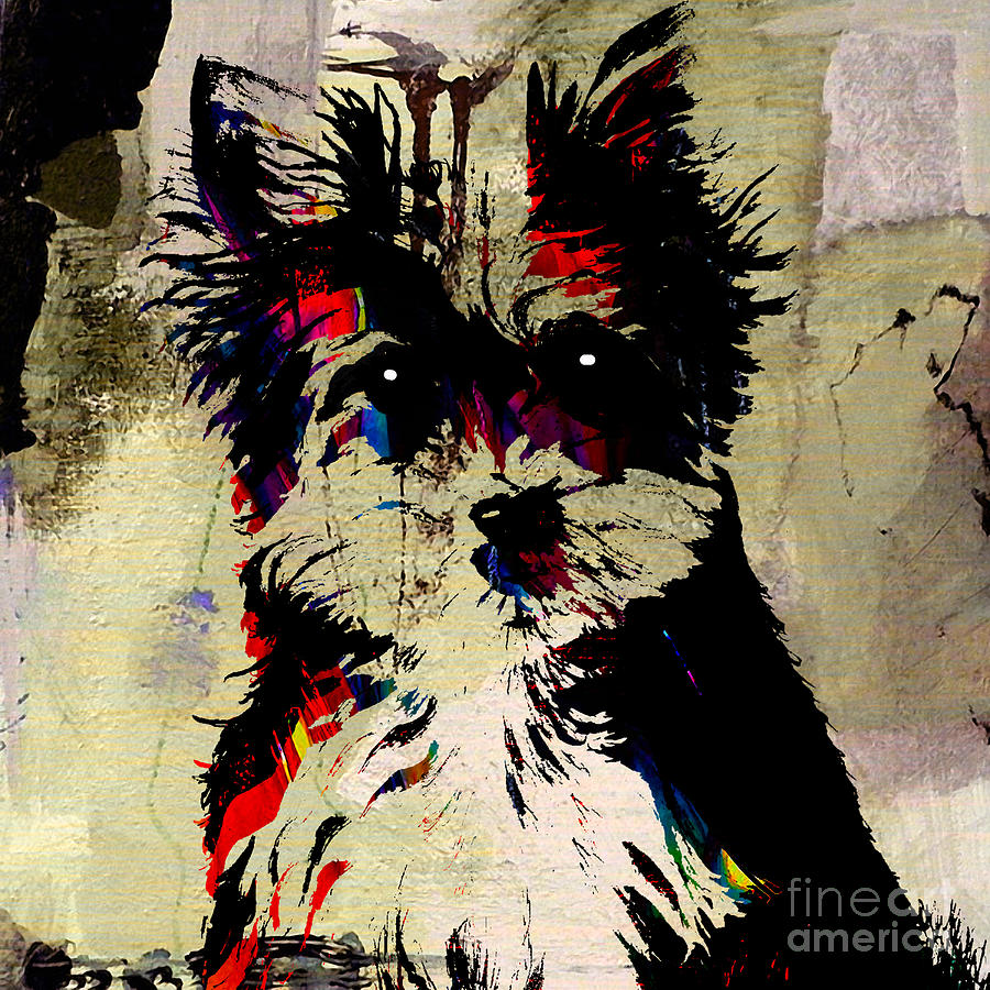 Yorkshire Terrier #5 Mixed Media by Marvin Blaine