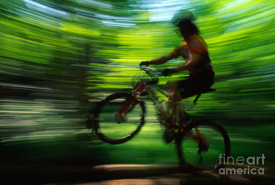 Young man mountain biking in a forest Stowe VT USA #5 Photograph by Don Landwehrle