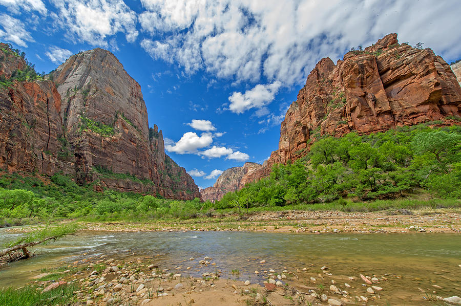 Zion National Park #5 Photograph by Willie Harper