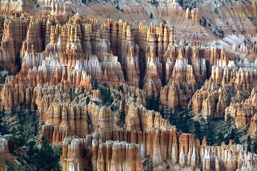 Bryce Canyon #50 Photograph by Marc Bittan