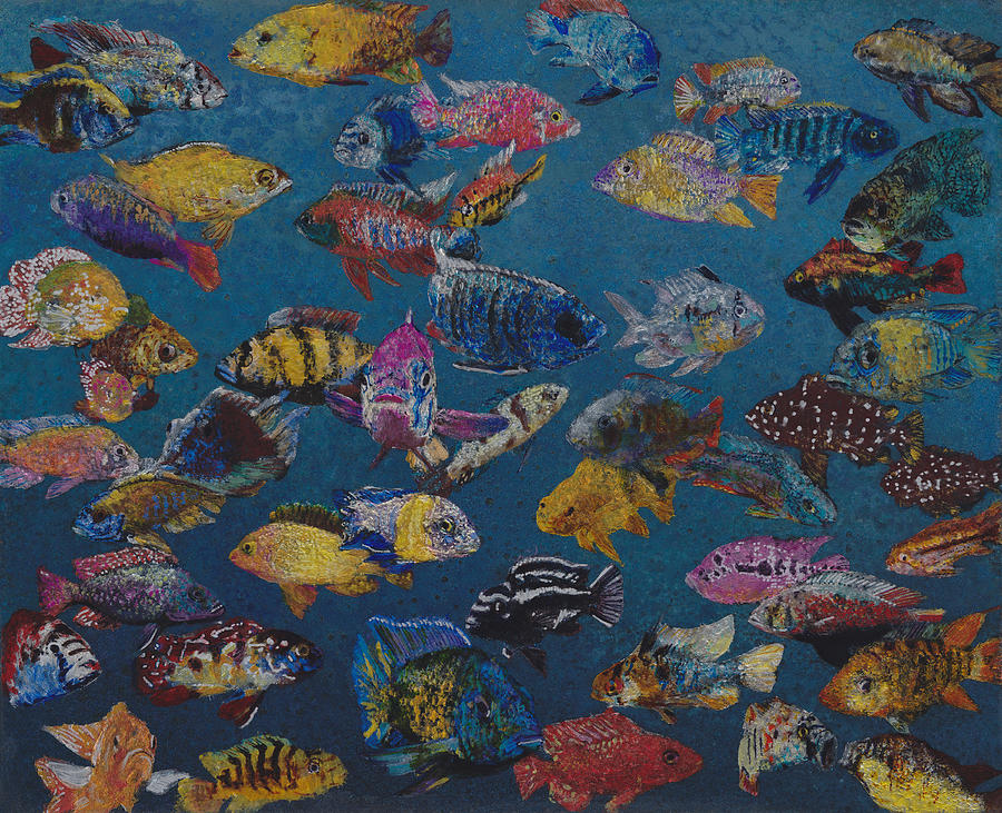 50 Cichlids Painting by Fred Chuang