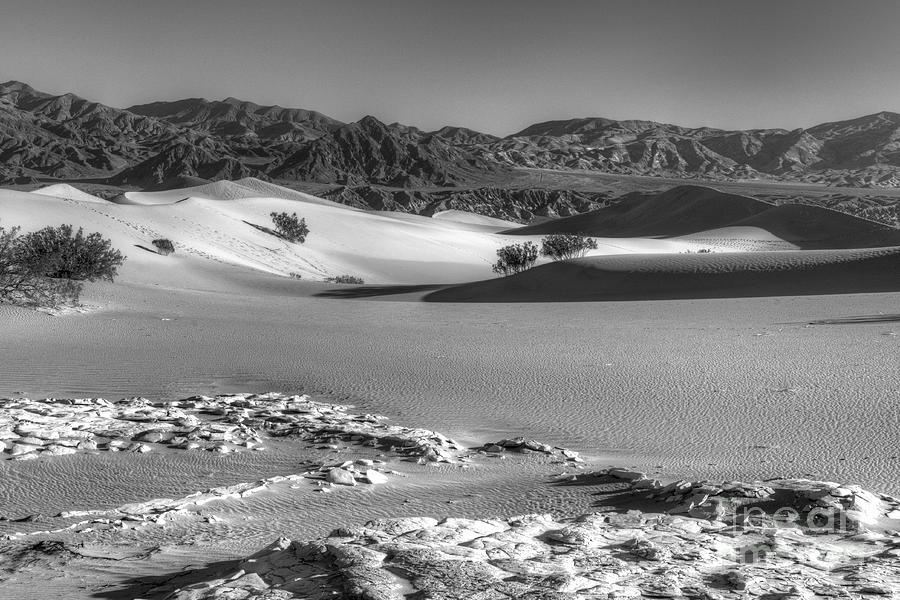 Death Valley #50 Photograph by Marc Bittan