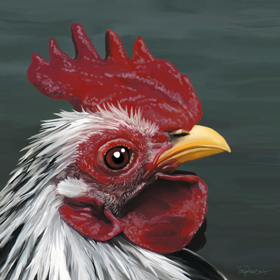 Chicken Digital Art - 50. Just Head by Sigrid Van Dort Chicken Digital Art - 50. Just Head by Sigrid Van Dort