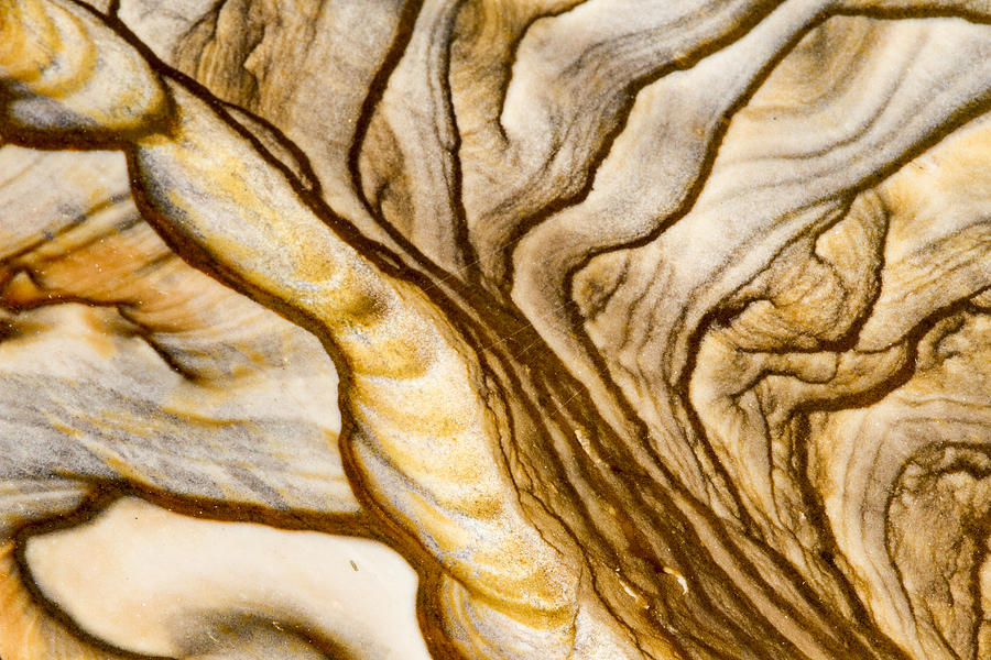 Abstract Photograph - Rock Delta Design by Jean Noren