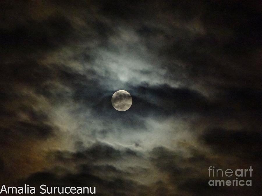 50 Shades of the Moon Photograph by Amalia Suruceanu