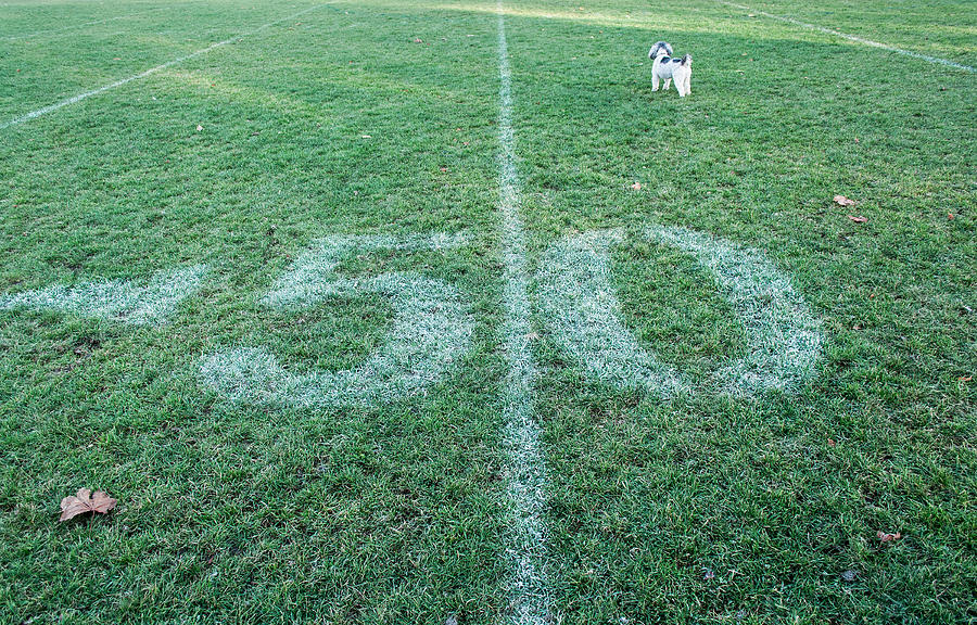 50 Yard Mascot Photograph by Keith Armstrong