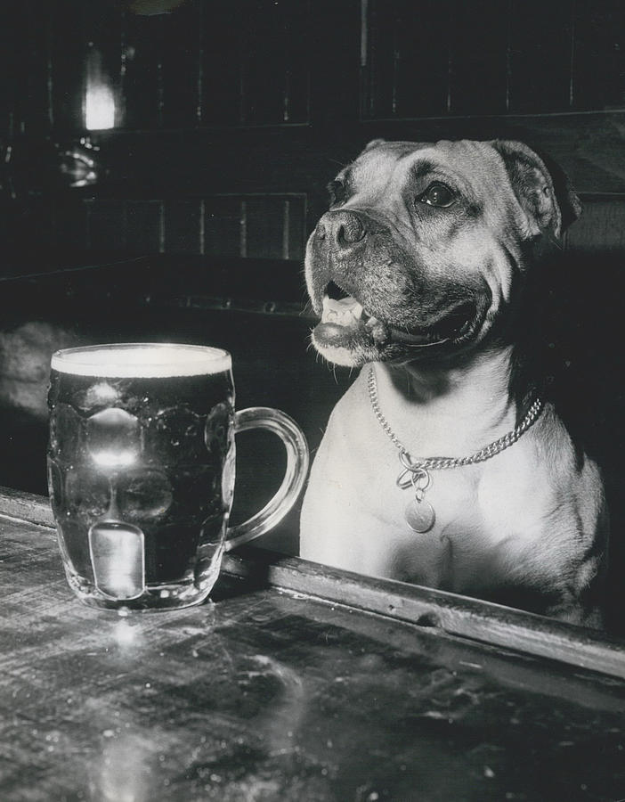 Vintage Photograph - Enjoying a Pint by Retro Images Archive