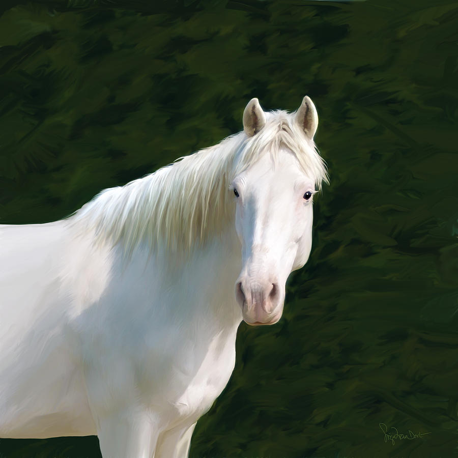 Horse Digital Art - 52. Blanca criollo by Sigrid Van Dort Horse Digital Art - 52. Blanca criollo by Sigrid Van Dort