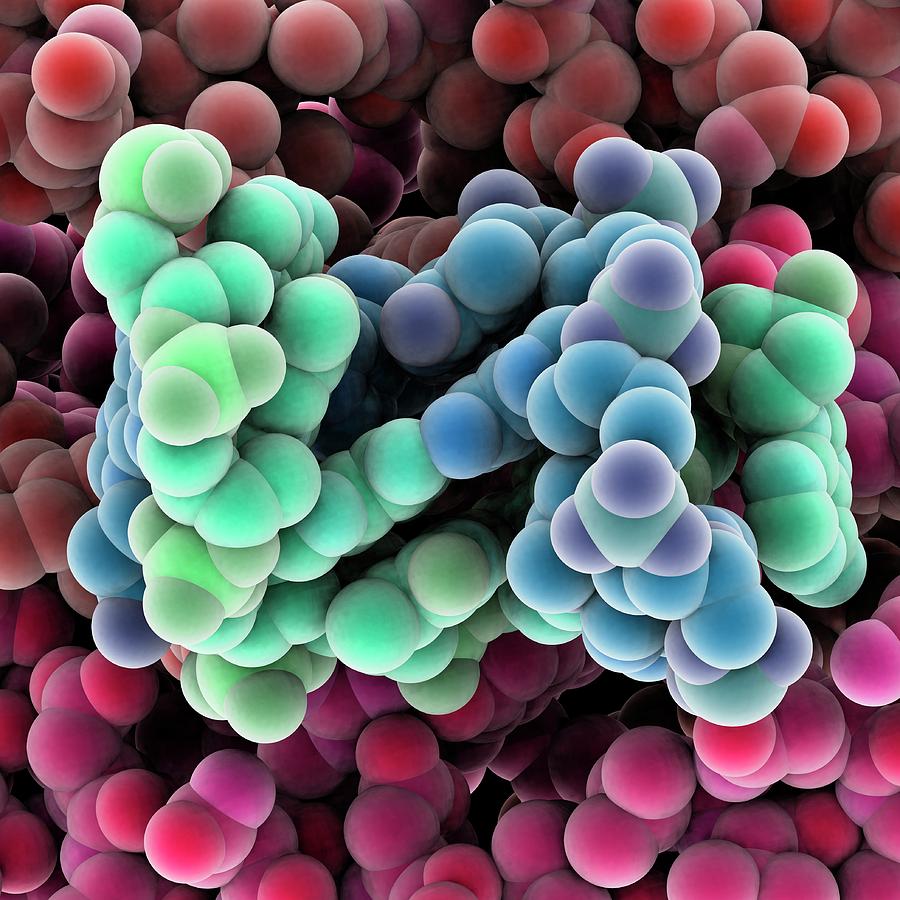 Ball Photograph - Protein Molecules #52 by Laguna Design