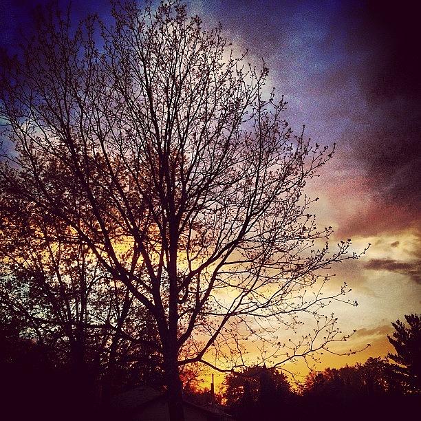 Sunset Photograph - Instagram Photo #521371414986 by Dj Stewart