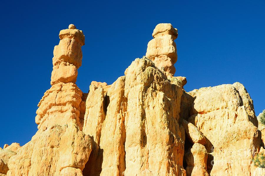 Bryce Canyon #53 Photograph by Marc Bittan