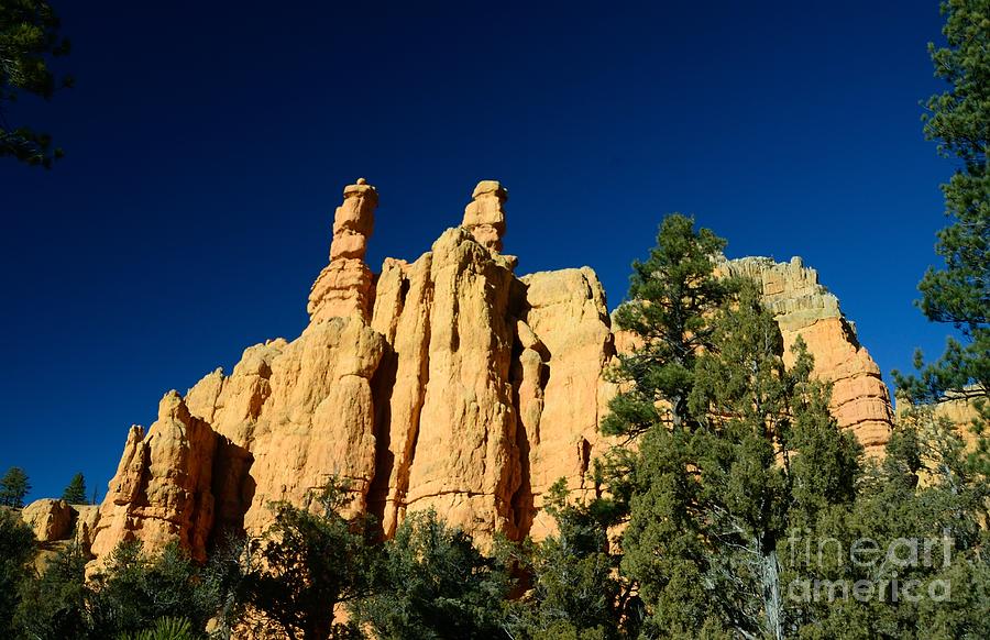 Bryce Canyon #54 Photograph by Marc Bittan