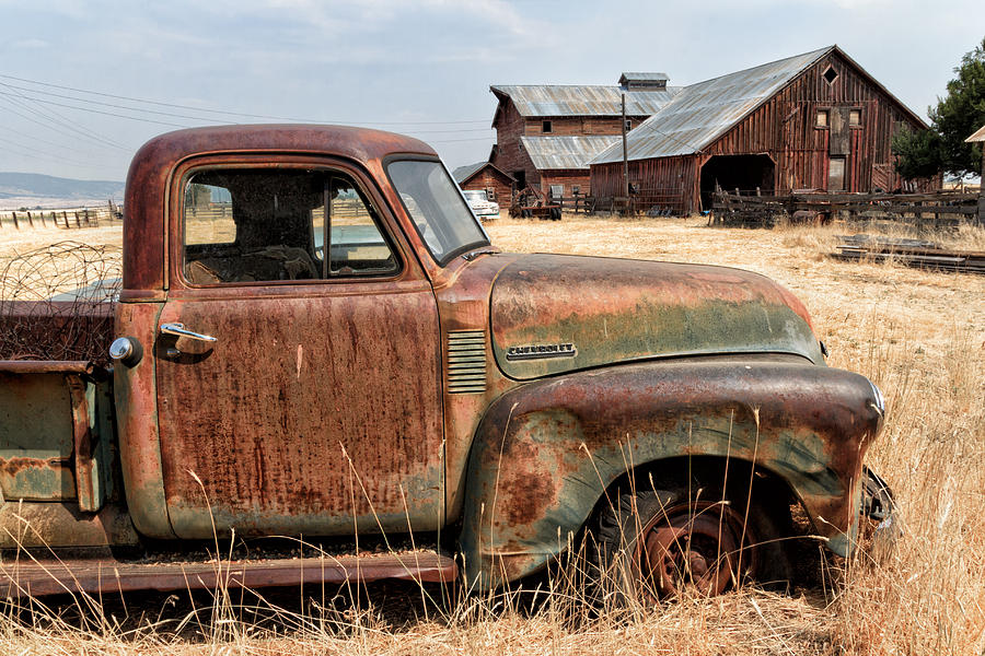 54 Chevy Put Out To Pasture Photograph