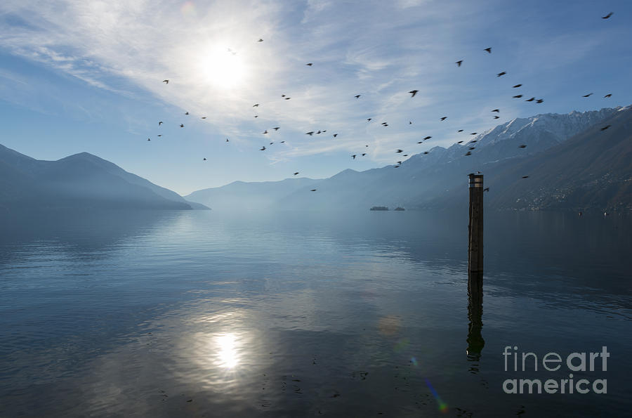 Alpine lake #55 Photograph by Mats Silvan