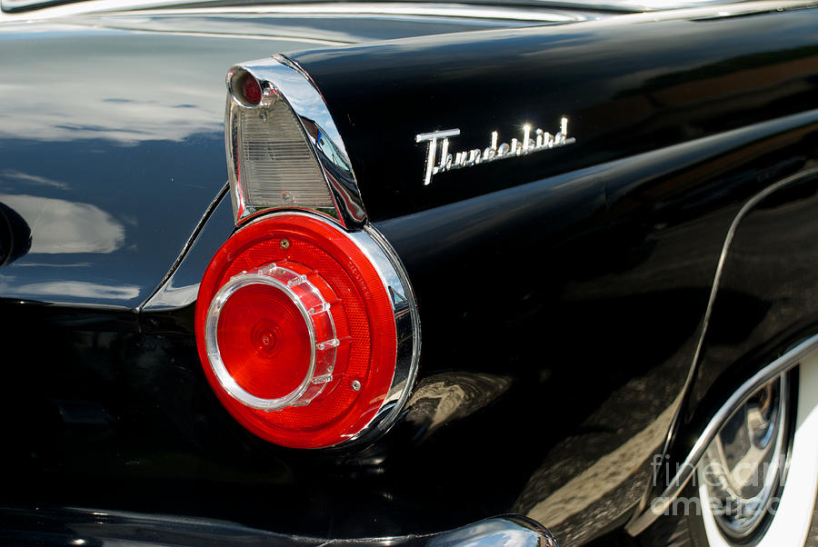 56 Ford Thunderbird Photograph by Mark Dodd