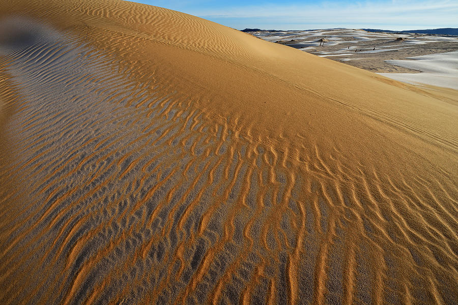 Silver Lake Sand Dunes Photograph