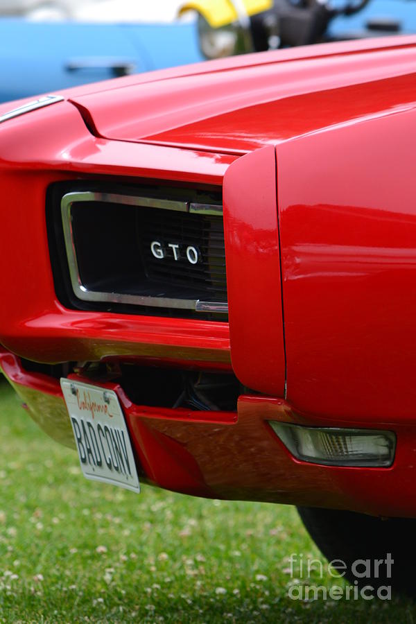 GTO #5 Photograph by Dean Ferreira